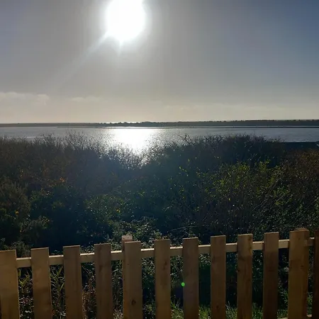 The Bluebell * Haverigg