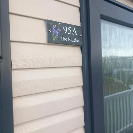 The Bluebell * Haverigg